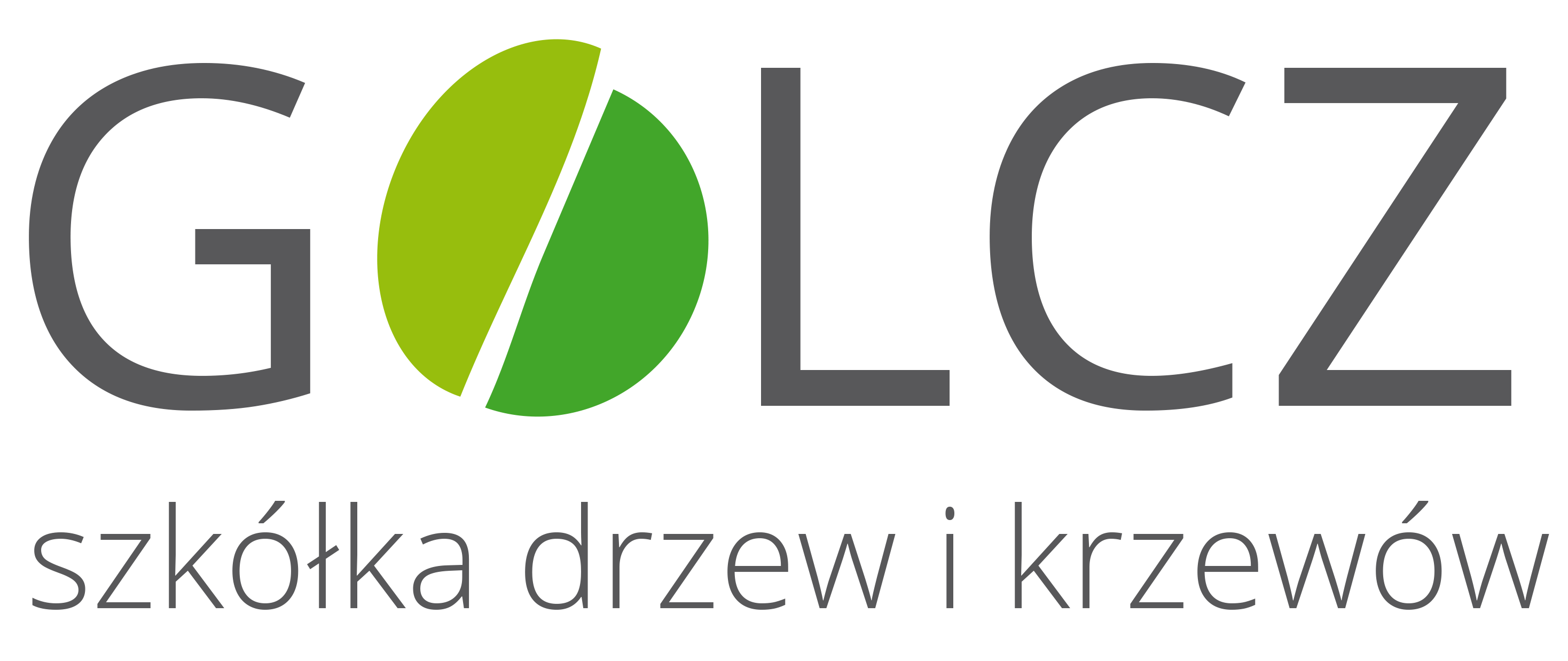 Golcz - Szkółka drzew i krzewów